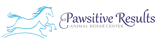 Pawsitive Results